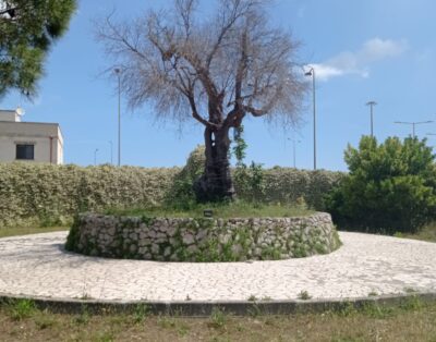 Appartamento in Lizzanello