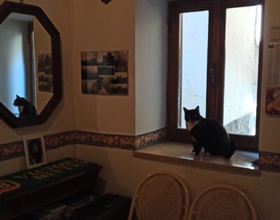 Appartamento in Bolsena